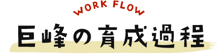 WORK FLOW ̈琬ߒ