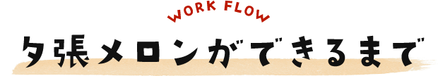 WORK FLOW [ł܂
