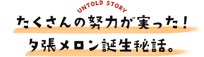 UNTOLD STORY ̓w͂I[abB