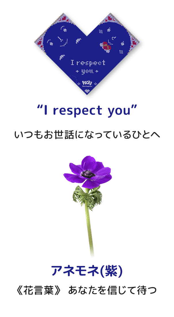 “I respect you” いつもお世話になっているひとへ アネモネ(紫) 《花言葉》 あなたを信じて待つ