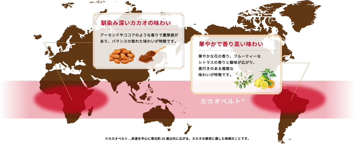 カカオベルトを示す世界地図。馴染み深いカカオの味わい／華やかで香り高い味わい。カカオベルトは赤道を中心に南北約20度以内に広がるカカオ栽培に適した地域です。