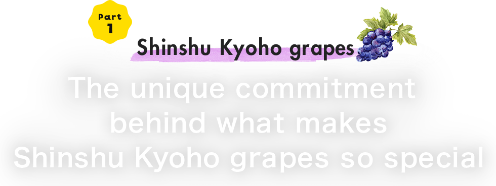 Part1 The unique commitment behind what makes Shinshu Kyoho grapes so special