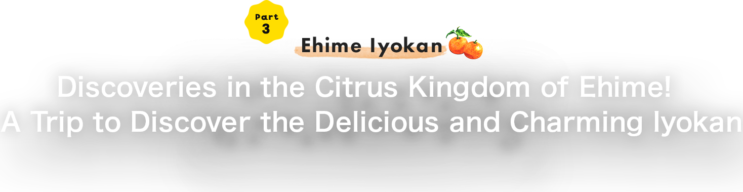 Part 3 Discoveries in the Citrus Kingdom of Ehime! A Trip to Discover the Delicious and Charming Iyokan