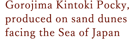 Gorojima Kintoki Pocky, produced on sand dunes facing the Sea of Japan