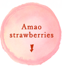 Amao strawberries