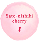 Sato-nishiki