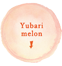 Yubari melon