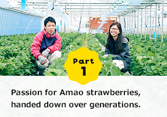Part1 Passion for Amao strawberries, handed down over generations.Chasing onefs dreams through work.