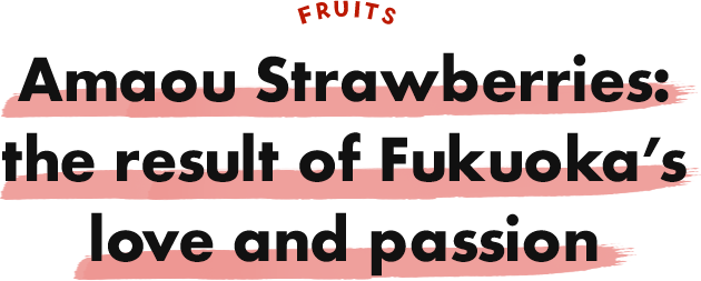 Amaou Strawberries: the result of Fukuoka’s love and passion