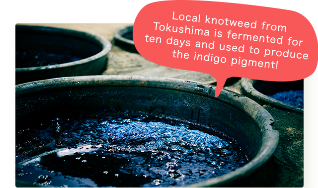 Local knotweed from Tokushima is fermented for ten days and used to produce the indigo pigment!