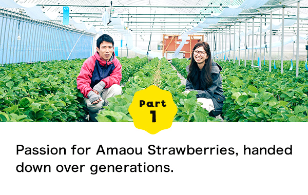 Part 1 Passion for Amaou Strawberries, handed down over generations. Chasing one’s dreams through work.
