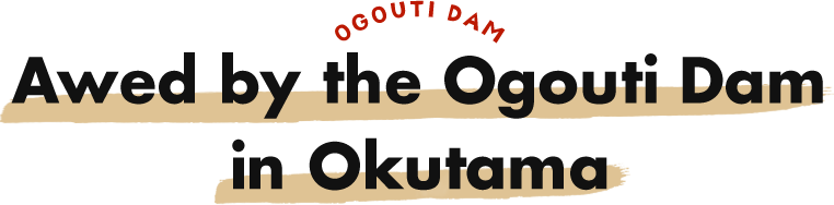 Awed by the Ogouti Dam in Okutama