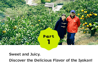 Part1 Sweet and Juicy. Discover the Delicious Flavor of the Iyokan!