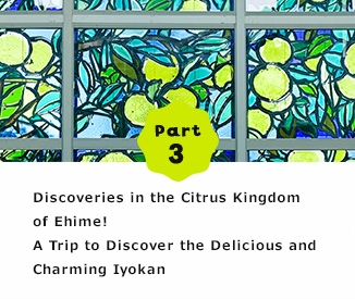 Part 3 Discoveries in the Citrus Kingdom of Ehime! A Trip to Discover the Delicious and Charming Iyokan