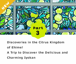  Part 3 Discoveries in the Citrus Kingdom of Ehime! A Trip to Discover the Delicious and Charming Iyokan