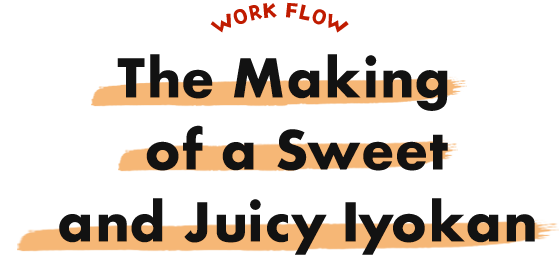 The Making of a Sweet and Juicy Iyokan