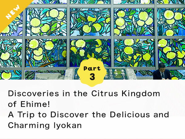 Part 3 Discoveries in the Citrus Kingdom of Ehime! A Trip to Discover the Delicious and Charming Iyokan