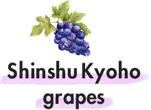Shinshu Kyoho grapes