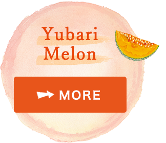 Yubari melon