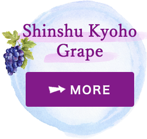 Shinshu Kyoho grapes