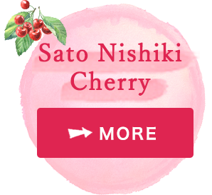 Sato Nishiki Cherry