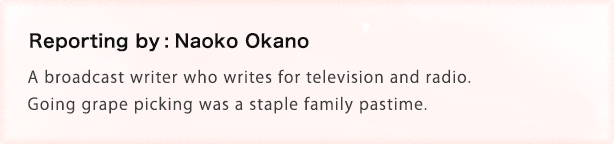 Reporting by: Naoko Okano A broadcast writer who writes for television and radio. Going grape picking was a staple family pastime.