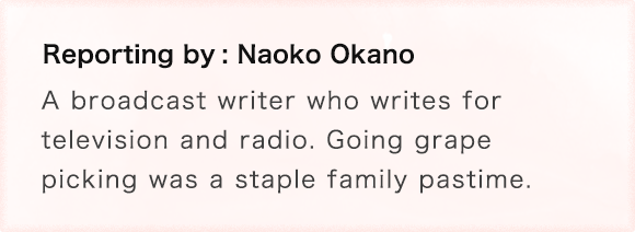 Reporting by: Naoko Okano A broadcast writer who writes for television and radio. Going grape picking was a staple family pastime.