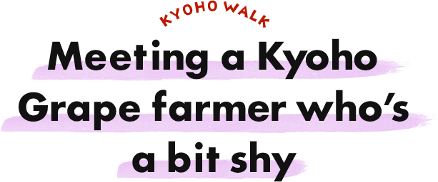 Meeting a Kyoho Grape farmer whofs a bit shy