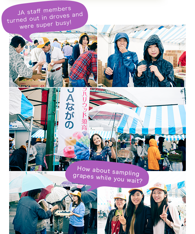 JA staff members turned out in droves and were super busy! How about sampling grapes while you wait?