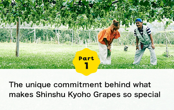 Part 1 The unique commitment behind what makes Shinshu Kyoho Grapes so special