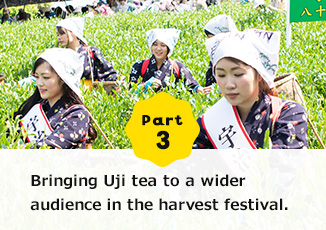 Part3 Bringing Uji tea to a wider audience.The harvest festival is here!
