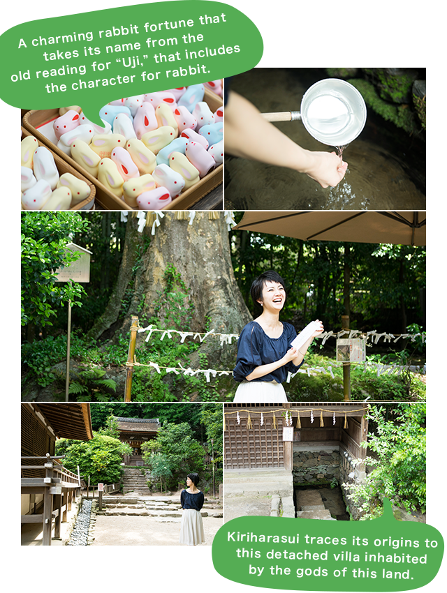 A charming rabbit fortune that takes its name from the old reading for “Uji,” that includes the character for rabbit. Kiriharasui traces its origins to this detached villa inhabited by the gods of this land.