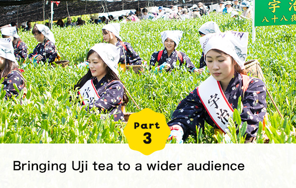 Part 3 Bringing Uji tea to a wider audience The harvest festival is here!