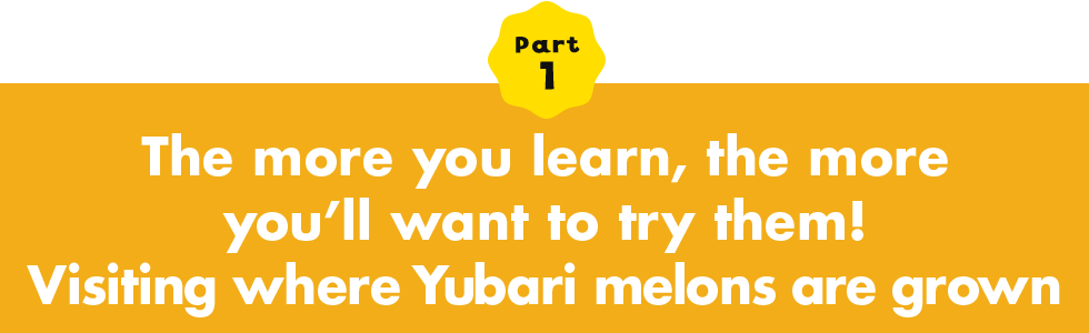 The more you learn, the more youfll want to try them!Visiting where Yubari melons are grown