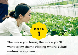 Part1 The more you learn, the more youfll want to try them!Visiting where Yubari melons are grown.