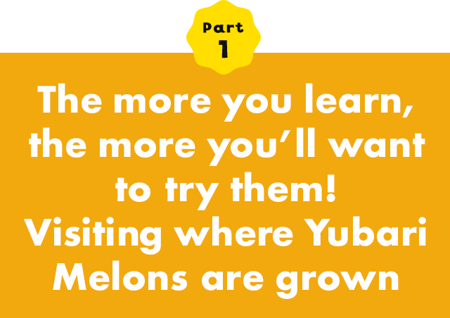 Part 1 The more you learn, the more youfll want to try them! Visiting where Yubari Melons are grown