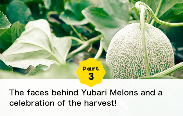 Part 3 The faces behind Yubari Melons and a celebration of the harvest!