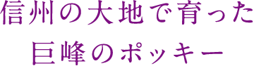信州の大地で育った巨峰のポッキー