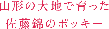 山形の大地で育った佐藤錦のポッキー