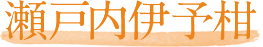 愛媛伊予柑