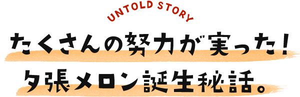 UNTOLD STORY ̓w͂I[abB