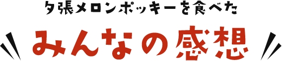 夕張メロンポッキーを食べたみんなの感想