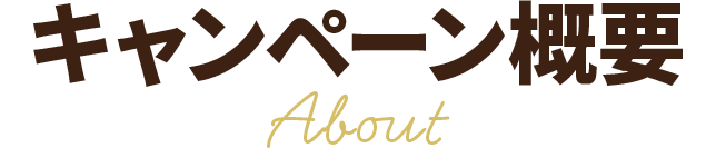 キャンペーン概要 About